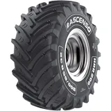 ASCENSO 800/65 R32 181A HRR200