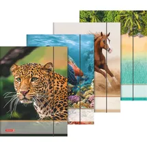 Baier & Schneider Sammelmappe A3 Tiere