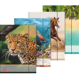 Baier & Schneider Sammelmappe A3 Tiere