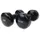 Tunturi Dumme Schallplatte 5 kg Schwarz 5 kg