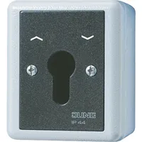 Jung Schlüsselschalter 834.28 G