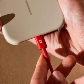 Apple USB-A auf USB-C 1,5 m Rot
