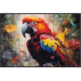 Wash+Dry Parry McParrot 50 x 75 cm Mehrfarbig