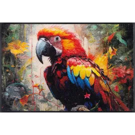 Wash+Dry Parry McParrot 50 x 75 cm Mehrfarbig