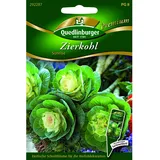 Quedlinburger Zierkohl ''Sunrise''