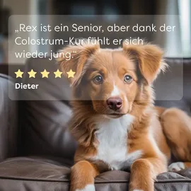dr. sam Colostrum Kur zur Stärkung des Immunsystems 125 ml