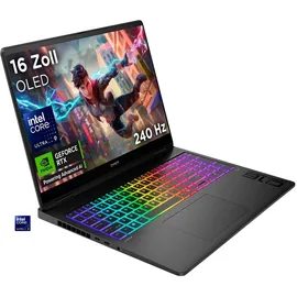HP OMEN MAX 16-ah0099ng Core Ultra 9 275HX 64 GB RAM 2 TB SSD RTX 5090