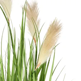 Beliani Kunstpflanze Pampas Grass 130 cm grün