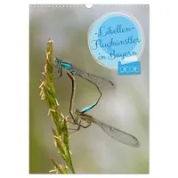 Calvendo Libellen - Flugkünstler in Bayern (Wandkalender 2026 DIN