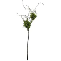 Hti-Living Zweig mit Vogelnestern Kunstpflanze Flora