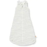 Ergobaby On The Move Ganzjahres Baby-Schlafsack mit Füßen Gurtschlitz 6-18 Monate Baumwolle TOG 2.5 Winter, Silver Waves