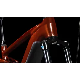 Cube Stereo Hybrid ONE44 Pro 800 2025 29 Zoll RH 40,5 cm bourbon'n'black