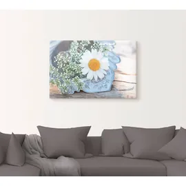 Artland Leinwandbild »Zarte Margeriten Blüte«, Blumen, (1 St.), weiß
