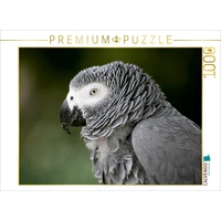 Calvendo Graupapagei Puzzle