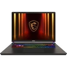 MSI Vector 17 HX A2XWHG-041 17"QHD+ Core Ultra 9 275HX, 32GB/2TB RTX5070Ti Win11