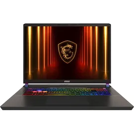MSI Vector 17 HX A2XWHG-041 17"QHD+ Core Ultra 9 275HX, 32GB/2TB RTX5070Ti Win11