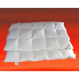 Betten Hofmann Franken Daunenbett Daunendecke 135x200 cm 5x7 100% Gänsedaunen