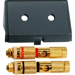 Merten 464387 Einschub mit High-End Lautsprecher-Steckverbinder, schwarz, System M, System M, System Design, System Fläche