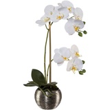 Creativ green Kunstorchidee »Phalaenopsis im Silbertopf«, weiß