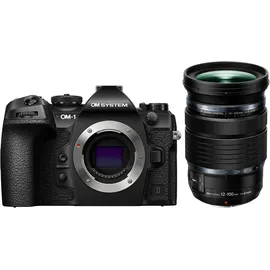 OM System OM-1 II + M.Zuiko 150-400mm f/4,5 TC1,25x IS Pro