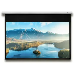 DELUXX Advanced Motorleinwand Elegance 16:9 Mattweiss Polaro 266 x 149 cm