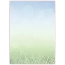 LYSCO Motivpapier Briefpapier Wiese 100 Blatt