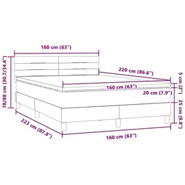 vidaXL Boxspringbett 160 x 220 cm Hellgrau