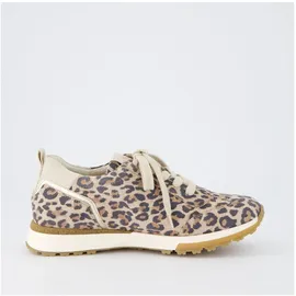 Paul Green Sneaker Damen Leo-Optik/Gold 40,5