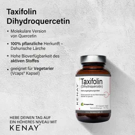 Kenay Taxifolin Kapseln 60 St.