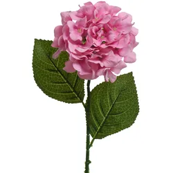 Decoris Hortensie mit Stiel 66cm Künstliche Seidenblumen Kunstblumen für Vase Dekoblumen Blumendeko Rosa