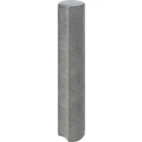 Diephaus Rundpalisade 100 x 20 cm grau