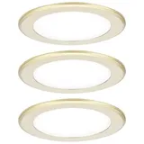 Paulmann LED-Schrankleuchte LED 2.5W Neutralweiß Gold (matt)