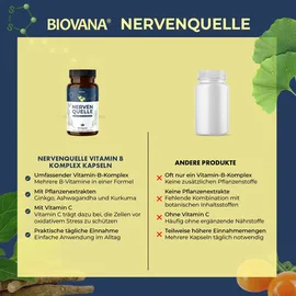 biovana Nervenquelle Vitamin B Komplex Kapseln 60 St.