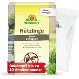 NEUDORFF SF-Nematoden gegen Ameisen 10 Mio. St.