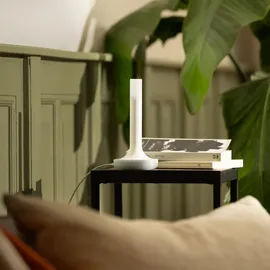 nabu casa Home Assistant Connect ZBT-2 Zigbee 3,0/Thread/Matter USB-Adapter