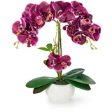 PASCH® Orchideen künstlich in Hochglanz-Keramiktopf (40cm) | Kunstblumen im Topf | Kunstblumen wie echt | künstliche Orchideen im Topf | künstliche Blumen im Topf | Kunstblume Orchidee