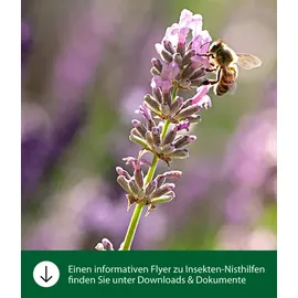 dehner natura premium Insektenhotel Osmia,