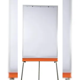 Exacompta 36651E blanko / blanko, 65 x 98 cm, 50 Blatt 5 Stück