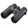 Swarovski Optik CL Companion 10x30 B anthrazit + Northern Lights