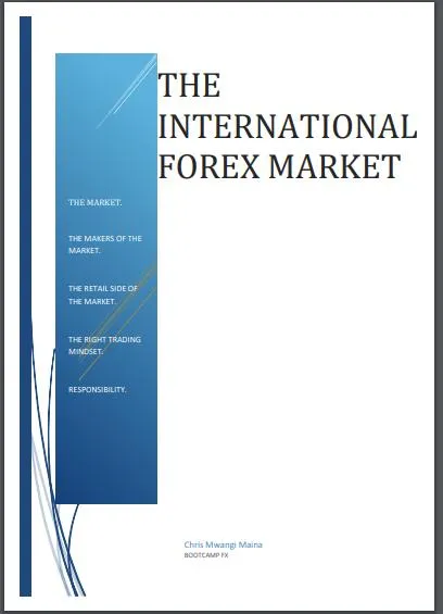 THE INTERNATIONAL FX MARKET: eBook von Chris Mwangi