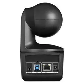 AVerMedia DL10 Schwarz