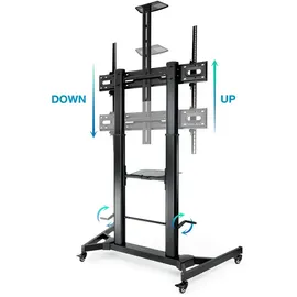TooQ Zeus FS20400M-B Verstellbarer TV-Bodenständer 60-100 VESA 1000x600 Max 100Kg