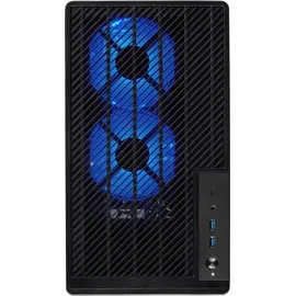 Medion Erazer Bandit P20 MD35020 schwarz