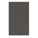 vidaXL Plissee 115 x 200 cm schwarz
