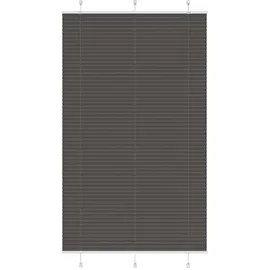 vidaXL Plissee 115 x 200 cm schwarz