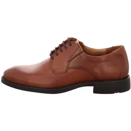 LLOYD KENTUCKY Braun 42