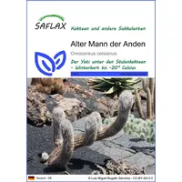 SAFLAX - Kakteen - Alter Mann der Anden -