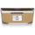 Woodwick Gilded Sands Duftkerze 453,6 g beige