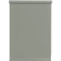 GARDINIA Seitenzugrollo 45 x 150 cm grau