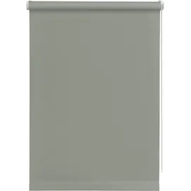 GARDINIA Seitenzugrollo 45 x 150 cm grau